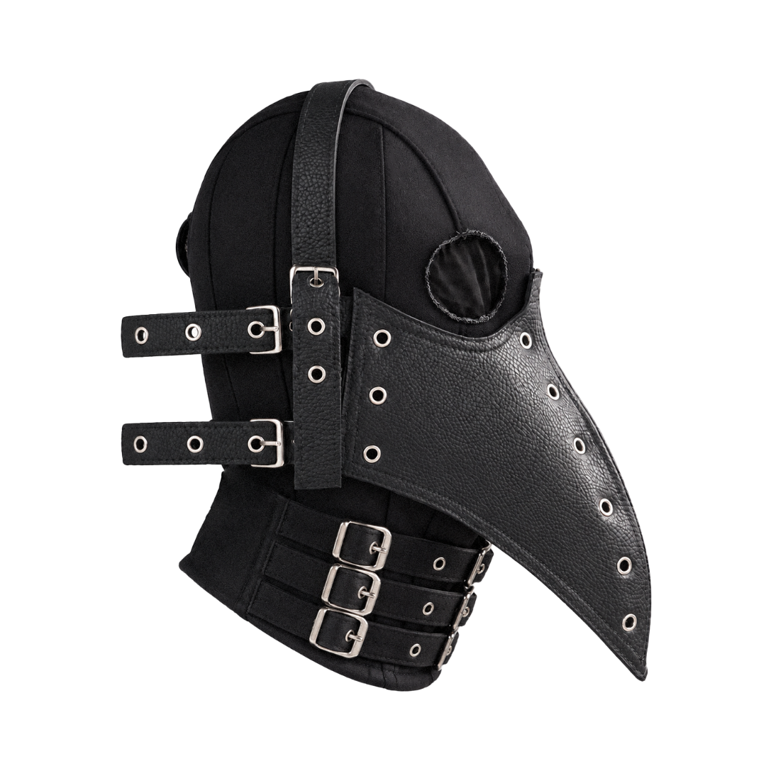 Crow Mask